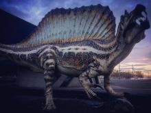 Spinosaurus. Imatge de Jordi Serrallonga